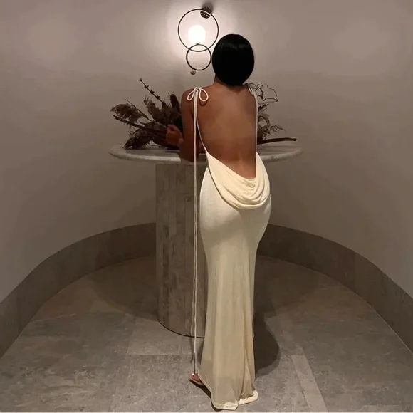 Melani Long Laces Draped Cowl Backless Maxi Dress 🕊️ - Picture 1 of 14